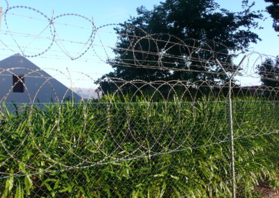 Nato Draht Flachdrahtrollen zum speziellen Absicherung von Maschendrahtzaun